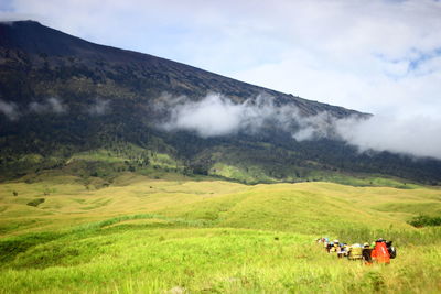 Scenic view of land on field against mountains