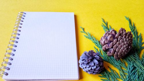 High angle view of spiral notebook by pine cones against yellow background
