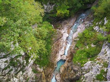 High angle view of waterfall in forest