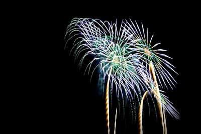 Low angle view of firework display against sky at night