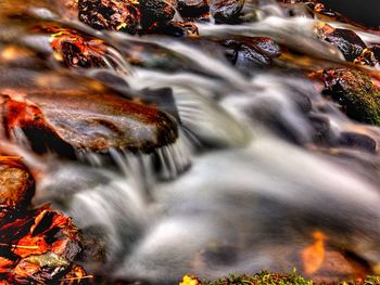 Stream flowing through rocks in forest during autumn