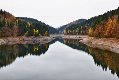 Scenic view of lake in forest against sky