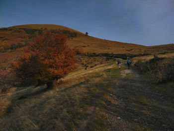 People walking on street amidst landscape against sky