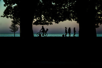 Silhouette people riding bicycle by plants against sky