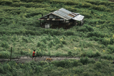 People on field against trees