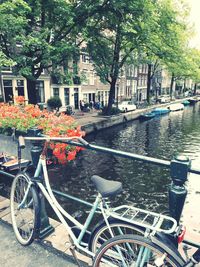 Bicycles by trees in city