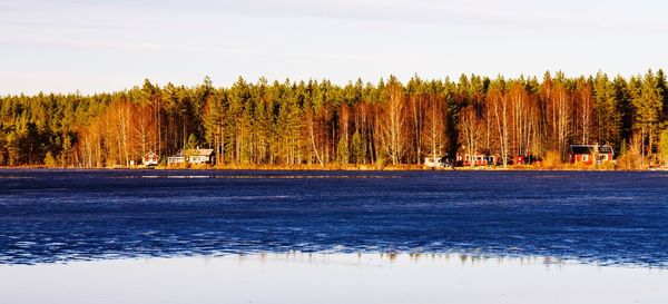 Scenic view of lake against trees in forest against sky