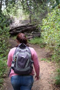 Rear view of man walking in forest