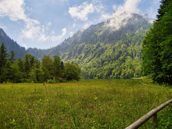 Scenic view of field against sky