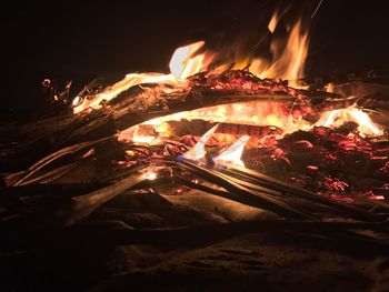 Close-up of bonfire at night