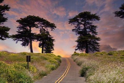 Empty road by trees against sky during sunset