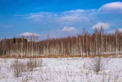 Snow covered land against sky