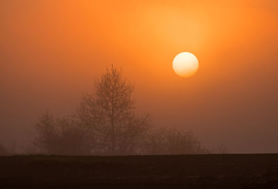 Silhouette trees on field against orange sky