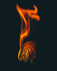 Close-up of fire burning against black background