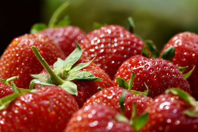 Close-up of strawberries