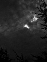 Low angle view of silhouette trees against sky at night