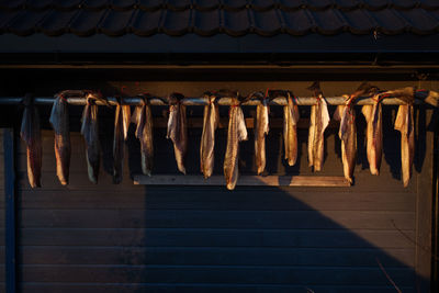 Seafood drying against wall