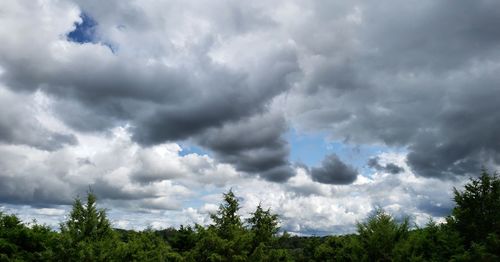 Low angle view of trees against cloudy sky