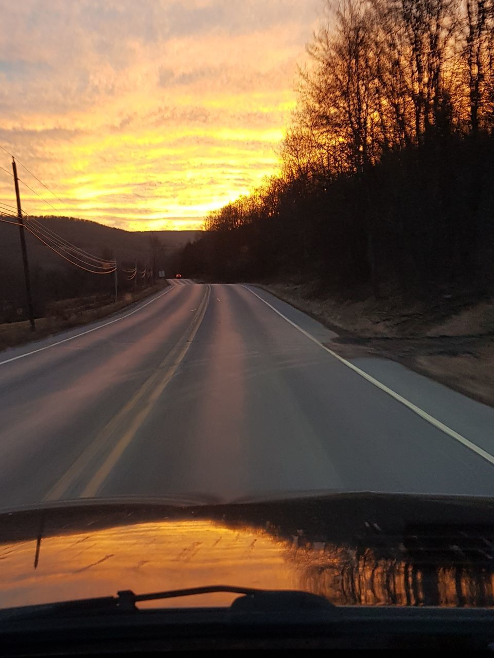 ROAD BY TREES AGAINST ORANGE SKY DURING SUNSET