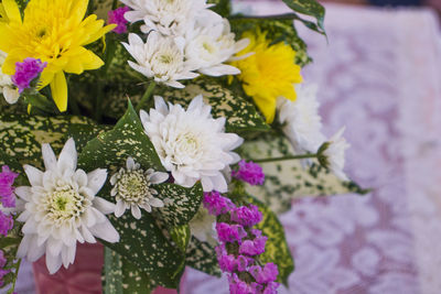 High angle view of purple flowering plants