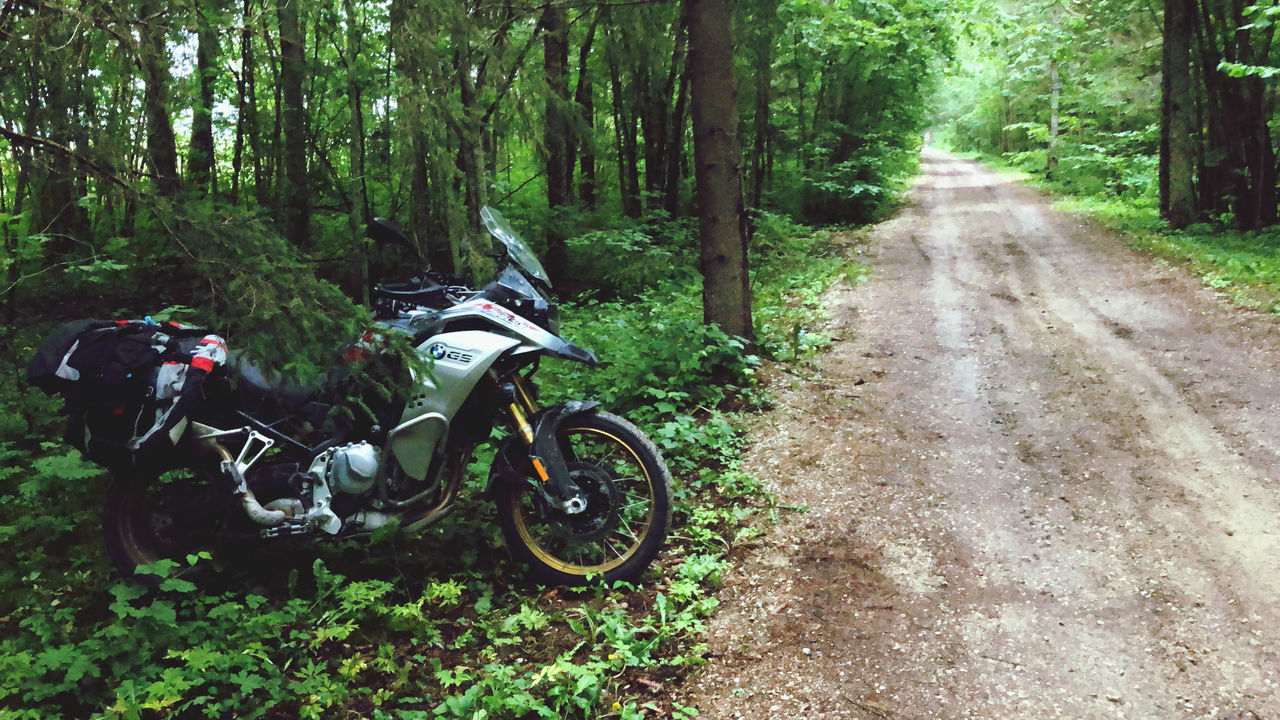 MOTORCYCLE ON ROAD AMIDST TREES IN FOREST