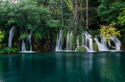 Scenic view of waterfall in forest, plitvice lakes national park, croatia