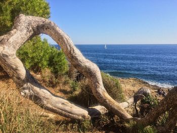 Scenic view of sea against clear blue sky