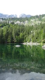 Scenic view of lake by trees against sky