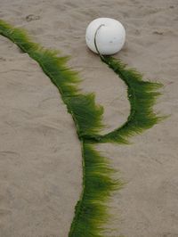 Buoy on sand at beach