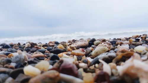 Surface level of pebble beach