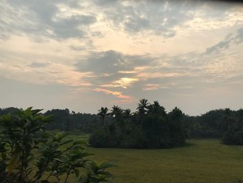 Scenic view of field against sky during sunset