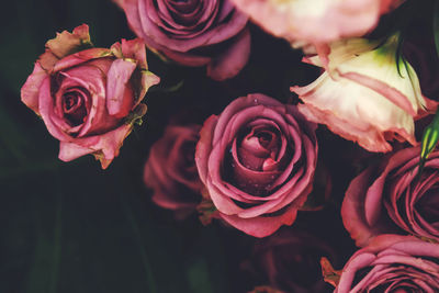 Close-up of rose bouquet