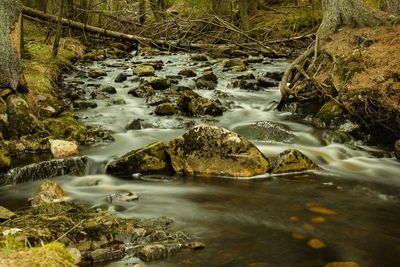 River flowing through rocks