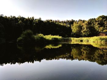 Scenic view of lake in forest against sky