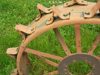 Close-up of wood on field