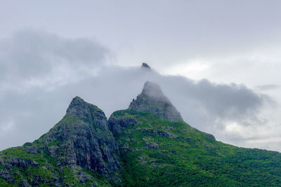 Low angle view of bird on mountain against sky