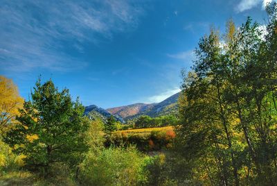 Scenic view of trees and mountains against blue sky