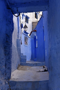 blue