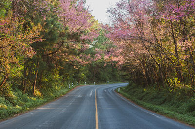 Road amidst trees during autumn