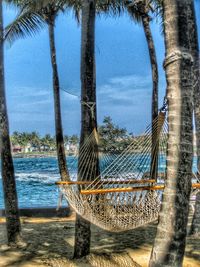 Palm trees on beach against blue sky