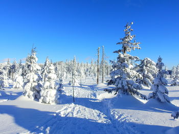 Snow covered land and trees against blue sky
