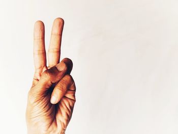 Close-up of person hand holding shell over white background