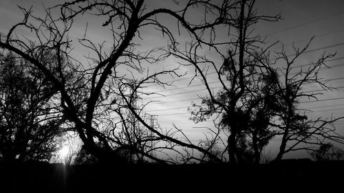 Low angle view of silhouette bare trees against clear sky