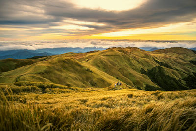 Scenic view of landscape against sky during sunset