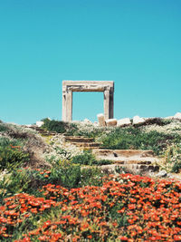 View of flowering plants against the sky