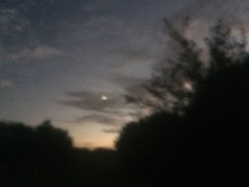 Low angle view of silhouette trees against sky at night