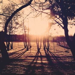 Silhouette trees by lake against sky during sunset