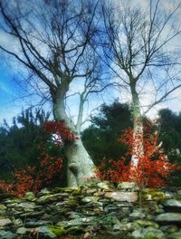 Silhouette of trees against sky during autumn