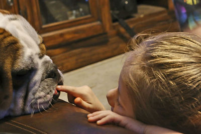 High angle view of girl touching dog lying on wooden table at home