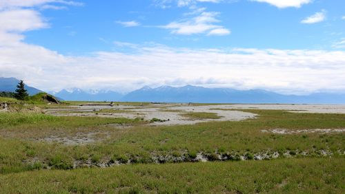 Scenic view of field against sky